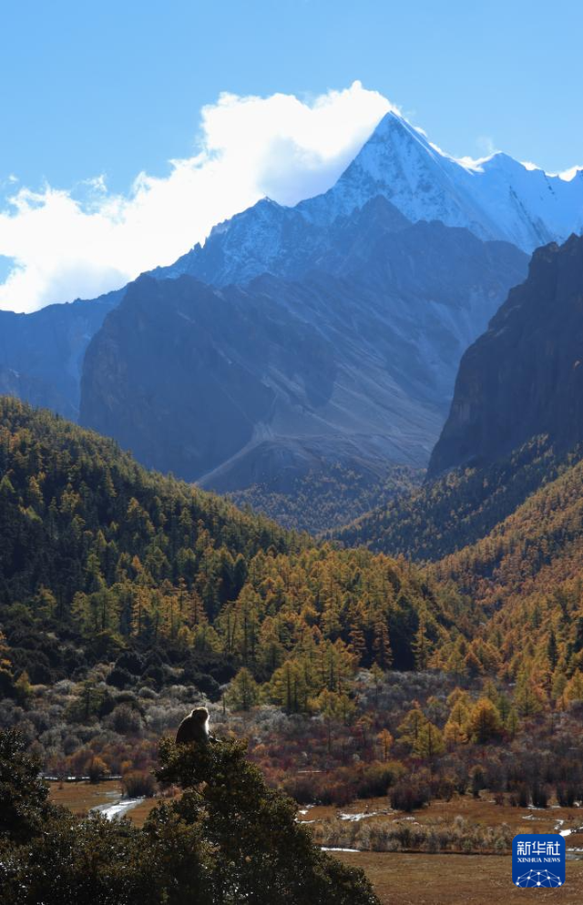 美丽中国丨穿越冰峰 遇见稻城亚丁