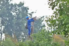 德阳投资1.32亿元巩固提升农村电网图片