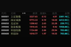 多股20cm涨停！A股两大板块爆发图片