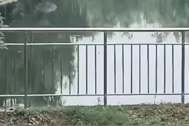 钓鱼网红周翠翠夫妻溺水去世，朋友：两口子人很好，他们有两个年幼的女儿图片