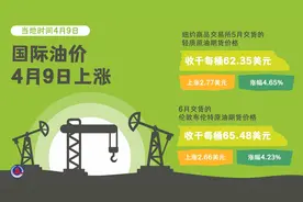 （图表）国际油价4月9日上涨图片