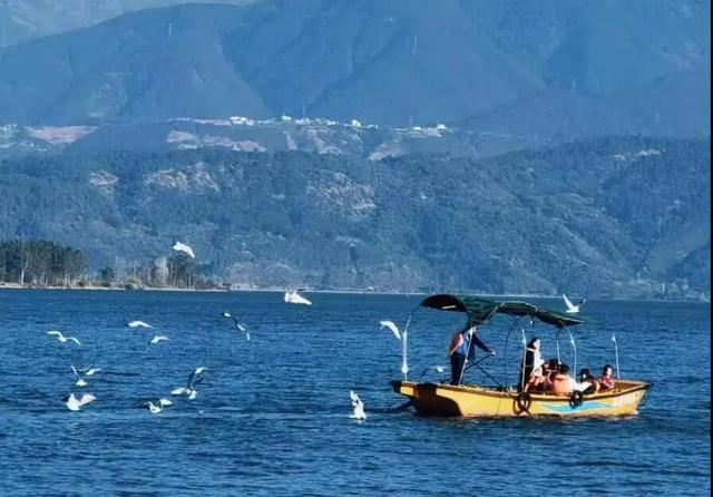 【跟着戏剧节游凉山】以戏剧为媒，探凉山之美（中线剧场）