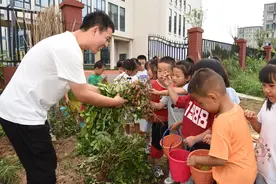 沧州经济开发区：让幼儿在劳动中快乐成长图片