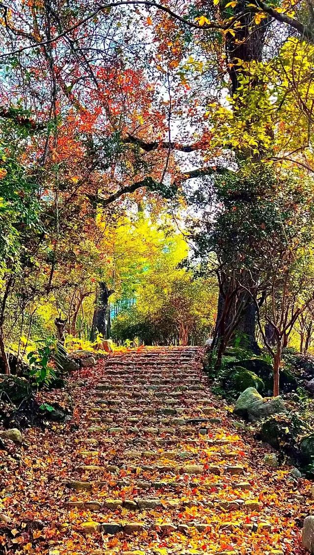 航旅融合 | 抽免费机票，到三明20℃的暖冬里，邂逅令人怦然心动的秘境