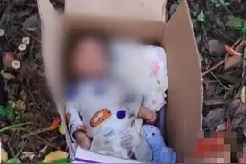 上海偏僻树林发现初生男婴，躺纸箱超43小时 最新进展来了图片