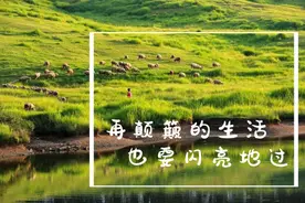 走进“阿勒泰分泰”，来长三角寻觅治愈美景→图片