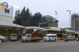 水果店私搭500平米大棚占道！执法人员出手了图片