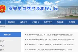 泰安最新规划公示：涉及财源、徐家楼、粥店等片区图片