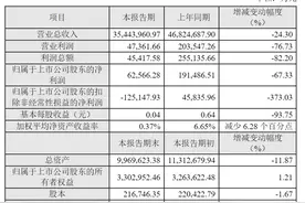 V观财报｜厦门国贸2024年净利润同比降超六成图片