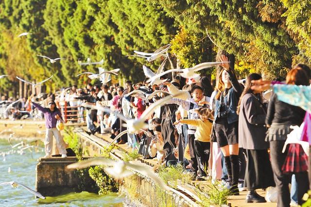 决胜“十四五” 迈上新台阶丨昆明转型：“旅游过境地”的留客之道