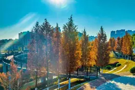 平江好景冬初知，最是红橙黄绿时图片