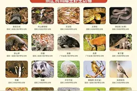 可以吃蛇了？官方辟谣：切勿以身试法图片