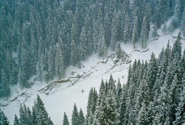 追光丨火爆！我国超4亿人玩户外，都在玩啥？