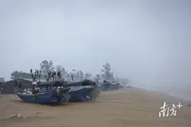 ​广东织密防台风网“捕”“蝴蝶”图片