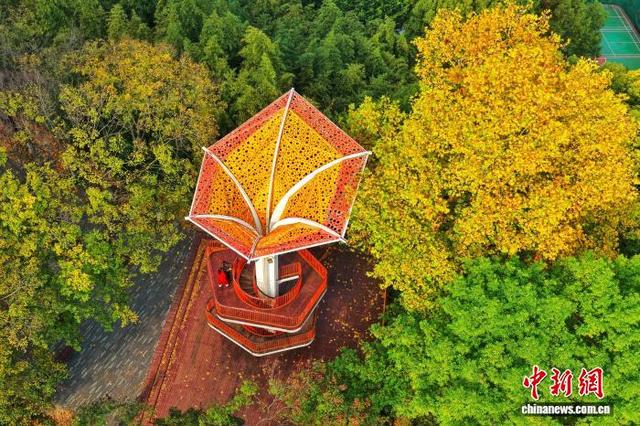 湖北宜昌：彩林碧水醉游人