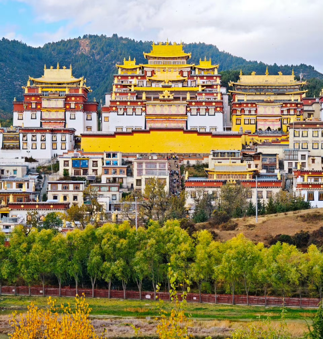 亲爱的阿迪，这里有你的一封信……