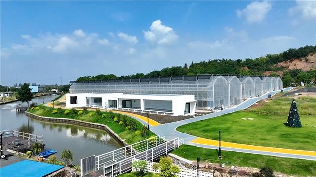 江苏江阴：建设“美丽幸福河湖” 助力农文旅融合发展