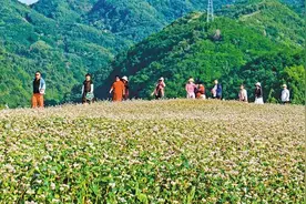 全国县域旅游发展潜力百佳县名单出炉 周至蓝田上榜图片