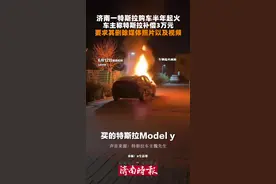 济南一特斯拉MODEL Y购车半年起火图片