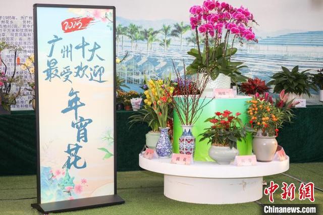 广州哪里有胶花市场 2026年广州哪里有胶花市场批发 广州哪里有胶花市场 2026年广州哪里有胶花市场批发