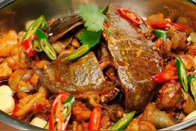 入伏了！现在吃正当时！不少杭州人的餐桌上已经悄悄多了它们……图片