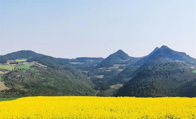 冬暖花开游云南 | 冬游红河，“马”上赏花！