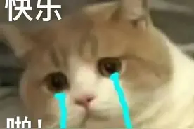 打算出去玩时收到这样的短信，可就要小心了！图片