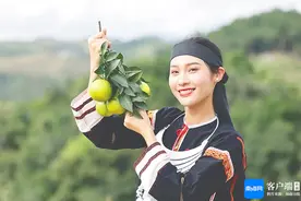 海南鲜品·品鲜南海丨黎母山下育好橙图片
