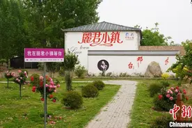 追忆邓丽君：河北大名邓台村再唱“小村之恋”图片