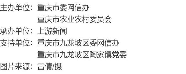 渝见好“村”光 | 霞染绿野 ：九龙坡区陶家镇友爱村