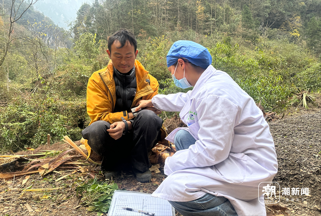 一场摸索于山野、流量与规则之间的“荒野求生”