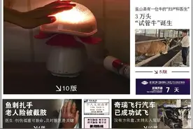 事关家家户户！明天起，这些业务进驻沧州市政务服务大厅办理图片