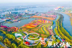 盐城用厚实“生态家底”撬动世界级朋友圈图片