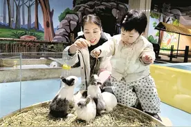 来Q萌动物城一起探索室内动物世界图片