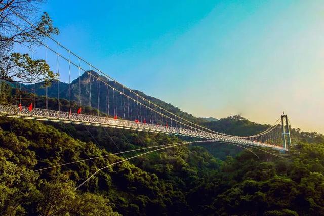 来三水见明星、听音乐会、看烟花汇演！2026年元旦活动准备好了！