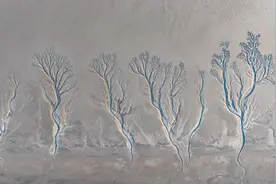 浙江嘉兴：冬日钱塘江结冰 呈现“冰雪潮汐树”景观图片