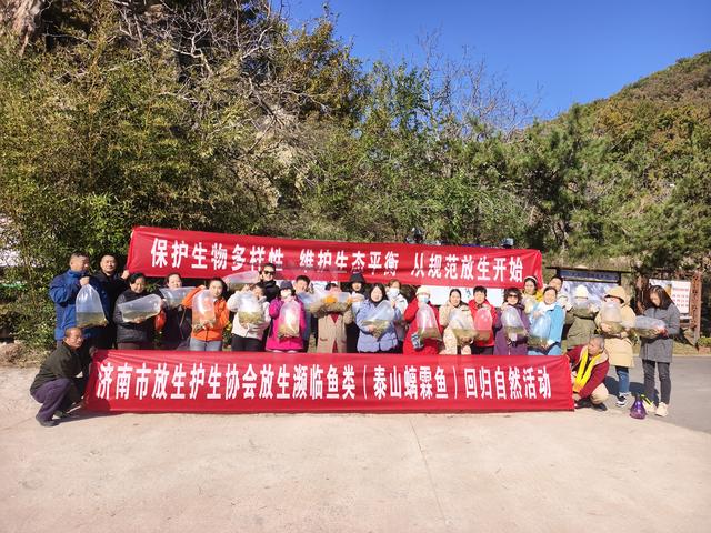 万尾赤鳞鱼“回归”泰山玉泉胜境