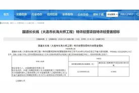 大连将新增一座跨海大桥！图片