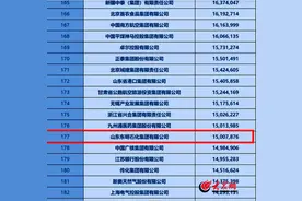 东明石化位居“2024中国企业500强”第177位图片