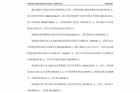 独家|管理费分走六成收益，红通嫌犯杨宇潇签字惊现华侨系清算报告图片
