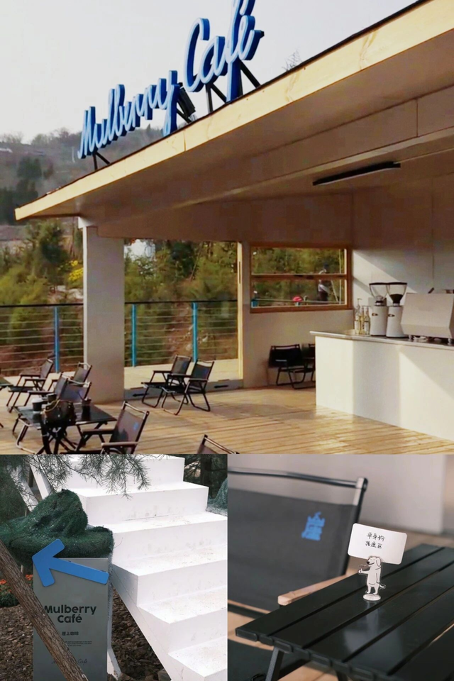 明确了！淄博的春天这样玩，过瘾