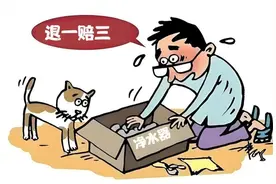 槐法案例丨网购的净水器竟货不对板？消费者起诉“退一赔三”获支持图片