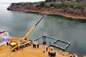 正式进入休渔期，800吨净水鱼苗投放密云水库图片