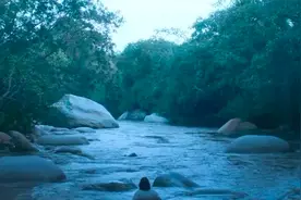 《百年孤独》开播｜《百年孤独》如何在中国卖了1200万册图片