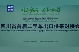 二手车加速“出海” 10国组队来四川“扫货”签下10亿订单图片
