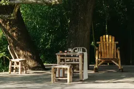 有茶的秋天，无论做什么，也都是好的图片