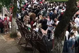 视频 | 人人人人我人人人 去岳麓山、岳麓书院请提前预约图片