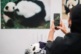 上野动物园惜别两只旅日大熊猫 日本民众称“一直以来，感谢有你”图片