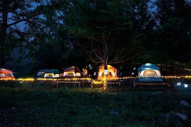 千年银杏韵，金黄满地诗，金色海洋游玩攻略来了！