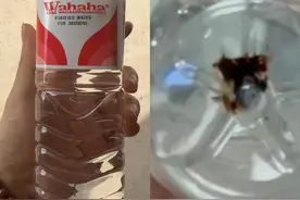 未开封的瓶装水底部出现“异物”？娃哈哈：初步排除生产问题图片